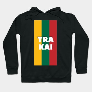 Trakai City in Lithuanian Flag Vertical Hoodie